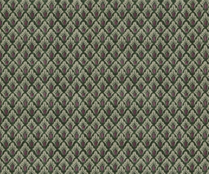 AAA2021ORGN8113010 AAA2021ORGN8113010