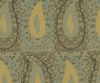 AAA2021ORGN8113026