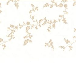 NLF20CHA001300