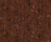 NLF20COV002300