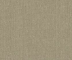 APF20CAC0004