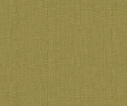 APF20CAC0011