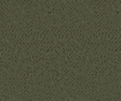 APF20KAL0015
