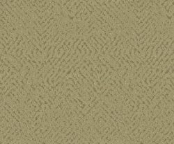 APF20KAL0029