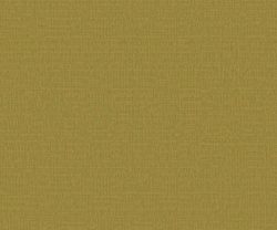 APF20KAS0009
