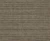 AAA2017ESS11104302