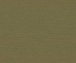 AAA2017ESS12104743 AAA2017ESS12104743