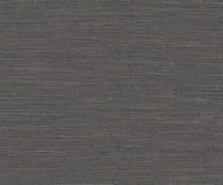 AAA2017ESS12104763