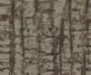 AAA2017ESS17105712 AAA2017ESS17105712