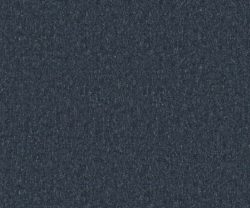 AAA2018ESS23107103