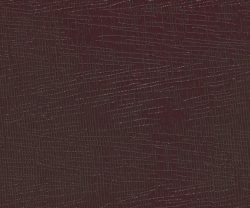 AAA2018ORGN5107503 AAA2018ORGN5107503
