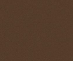 AAA2019ESS28109509