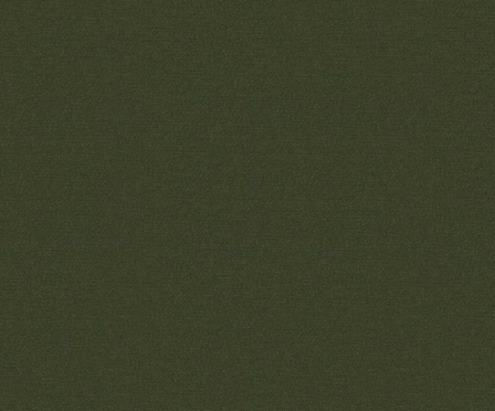 AAA2019ESS28109515