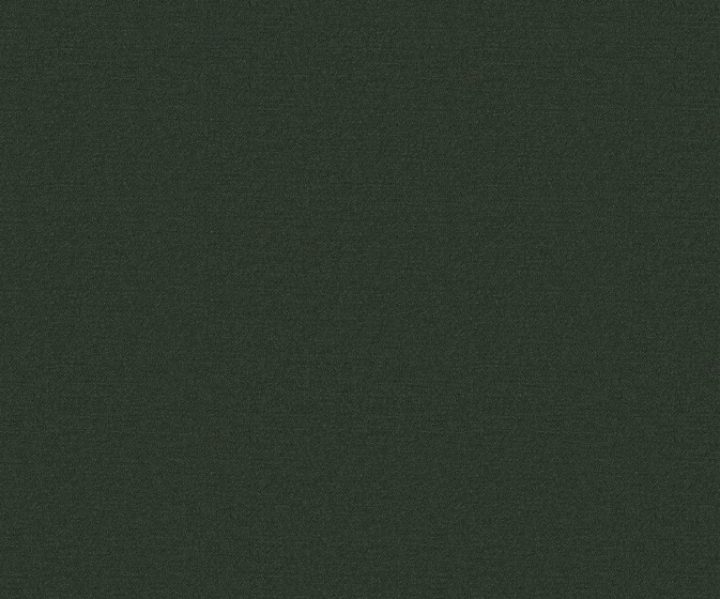 AAA2019ESS28109516 AAA2019ESS28109516