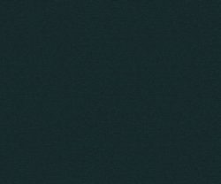 AAA2019ESS28109517