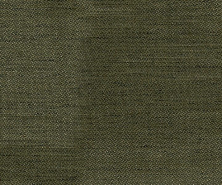 AAA2019ESS30110015