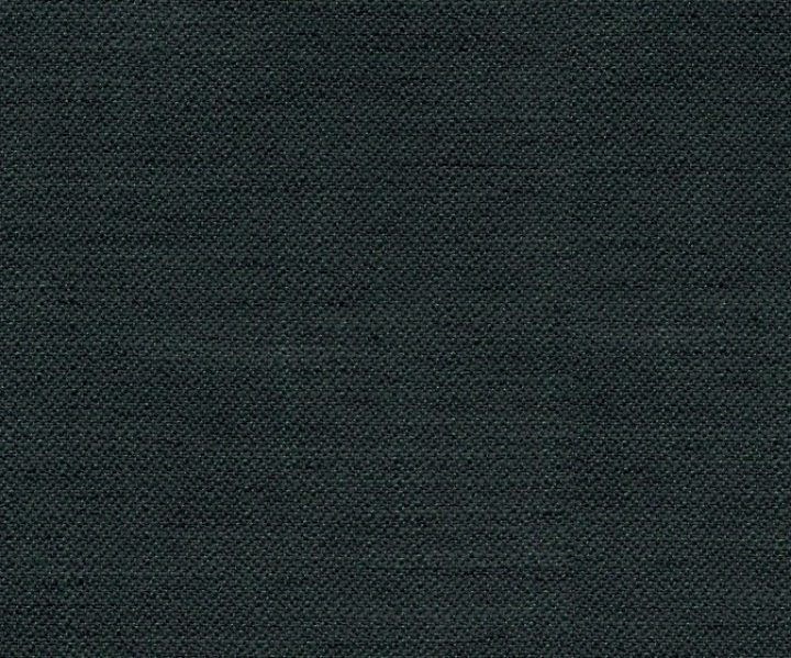 AAA2019ESS30110038