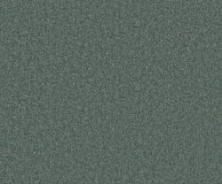 AAA2019ESS31109902