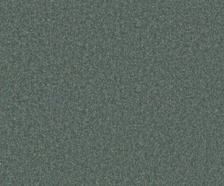 AAA2019ESS31109902