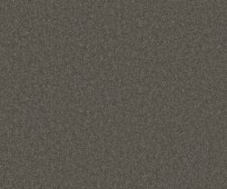 AAA2019ESS31109904