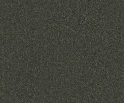AAA2019ESS31109907