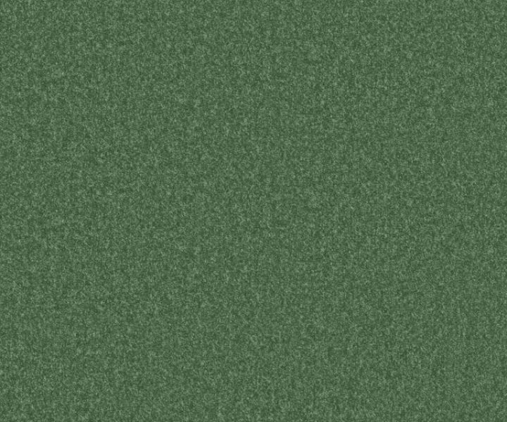 AAA2019ESS31109910 AAA2019ESS31109910