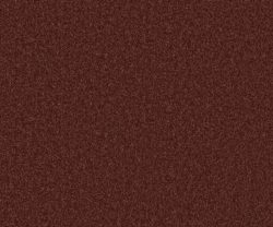 AAA2019ESS31109921