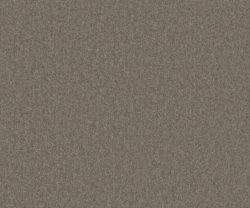AAA2019ESS31109924 AAA2019ESS31109924