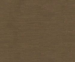 AAA2019ESS34110612