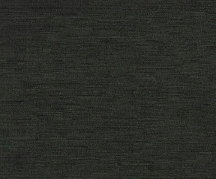 AAA2019ESS34110641