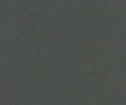 AAA2021ESS39113740
