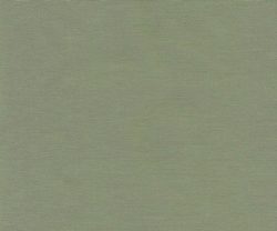 AAA2021ESS39113746