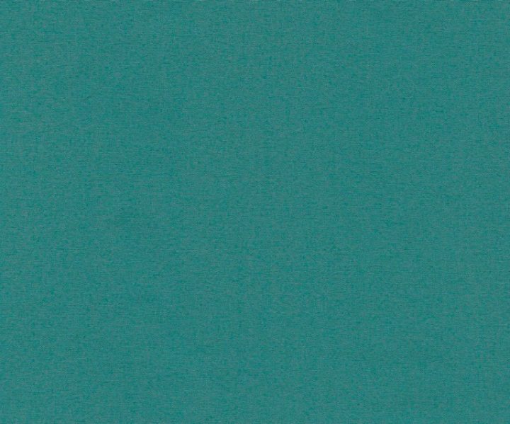 AAA2021ESS39113752
