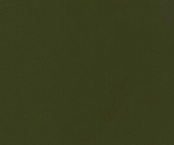 AAA2021ESS40112228