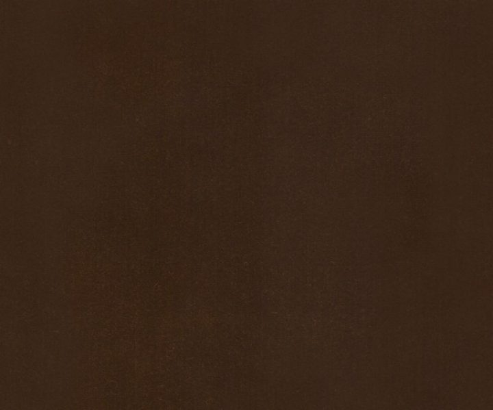 AAA2021ESS40112265
