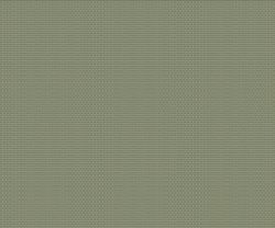 AAA2021ORGN7112923