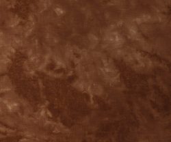AAB2016YGNTR000581