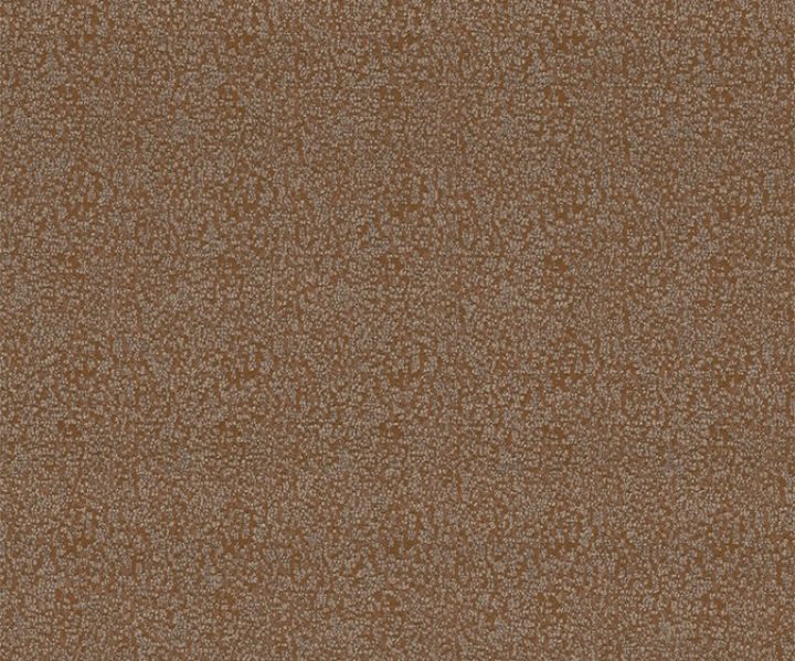 NLF24BEL001 NLF24BEL001