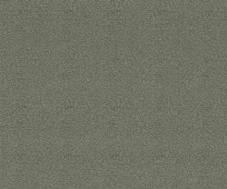 NLF24BEL002