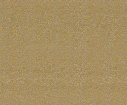 NLF24BEL005