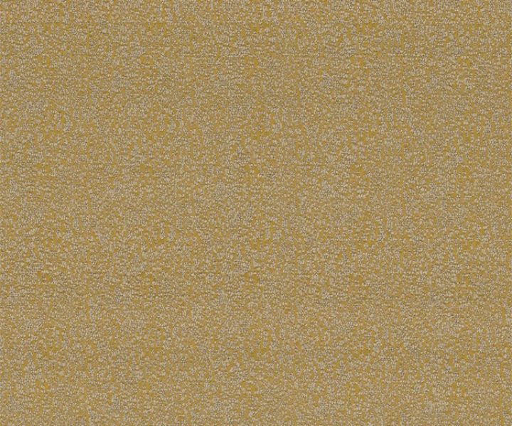 NLF24BEL005 NLF24BEL005