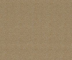 NLF24BEL006