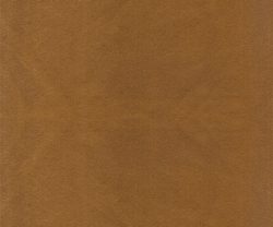 NLF24CHO002