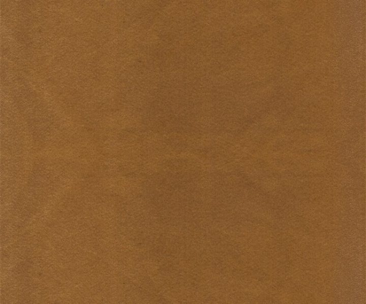 NLF24CHO002