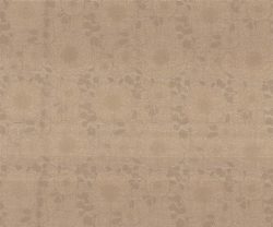 NLF24GAE001