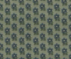 NLF24NAR002