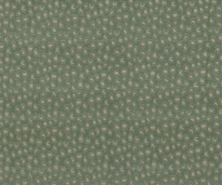 NLF24PAN001 NLF24PAN001