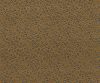 NLF24PAN002 NLF24PAN002