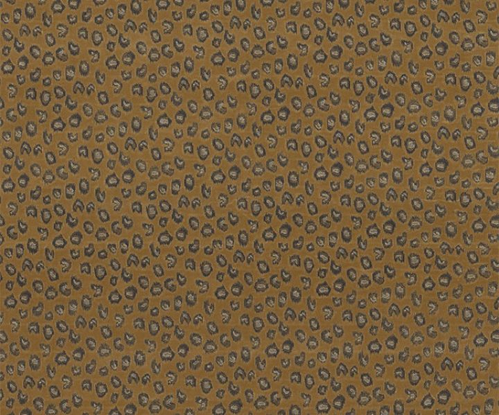 NLF24PAN002 NLF24PAN002