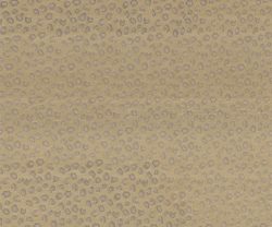 NLF24PAN004